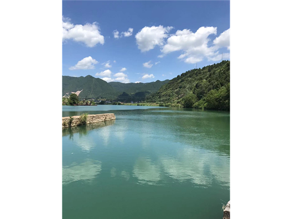 合作案例